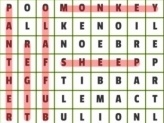 Animals Word Search