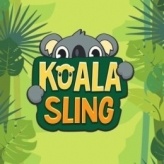 Koala Tung Lưới