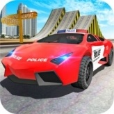 Police Car Stunt Driver